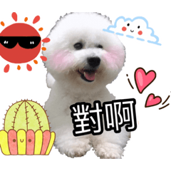 可愛土豆比熊2