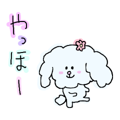 Colorful! Graffiti Toy Poodles(Japanese)