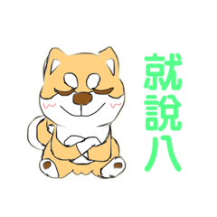 高傲8氣柴