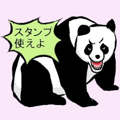 Wild_panda