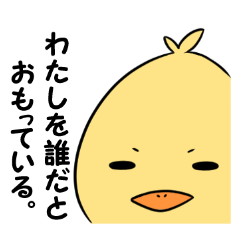 Korokoro chick
