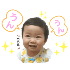 Mako_20190826155245