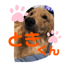 yuina_20190826162930