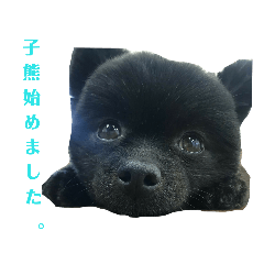 Hikaru_20190826134045