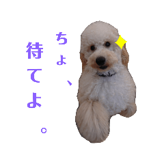 Hikaru_20190826170218