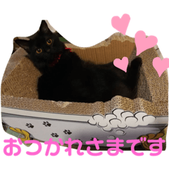 ask_20190826192625