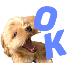 Marina_20190826200309