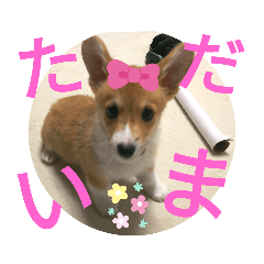 KAITO_20190826200654