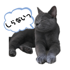 Hirano cat3