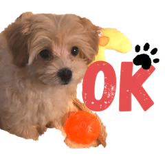 Putin & Gomachan&nbsp; &nbsp;stamp