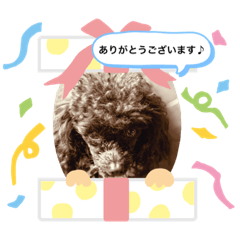 Tomoyo_20190827004120