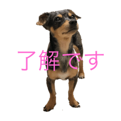 yama_20190827073503