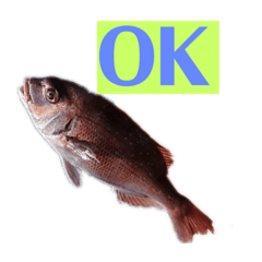 Real fish stamp – LINE stickers | LINE STORE