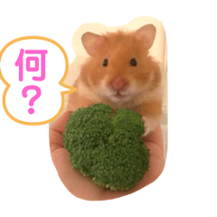 Ton_20190826051632