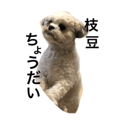 Oruri_20190827121126