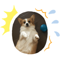 marina_20190827135806