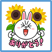 LINE Characters' Summer Vacation