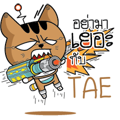 TAE Robot cat e