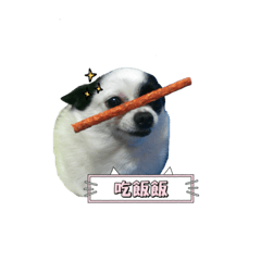 我們家少爺叫多多