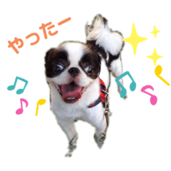 Ryu_20190827151448