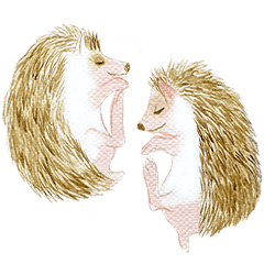Woodland Folk : Hedgehog