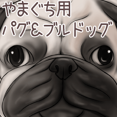 Yamaguchi Pug and Bulldog