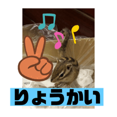 kayo_20190827151605