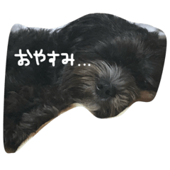 mizuki_20190827164439