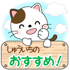 しゅういち専用 Mr.にゃんこ [ver.2]