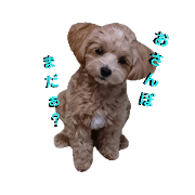 chiyon_20190827154823