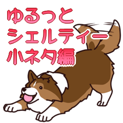 The fluffy Shetland Sheepdog(humor)