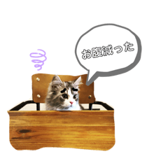 mochi_20190827214534