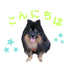 nanami_20190827211205