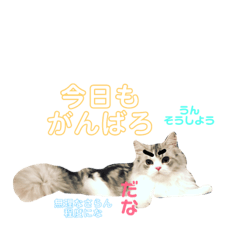 mochi_20190827215548