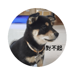 茜與洽北北的日常