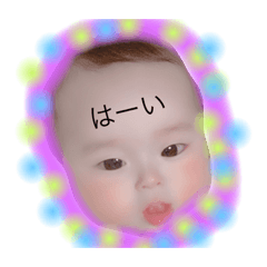 sei_24