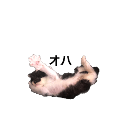T.K_20190827224646