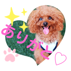 bob Marley_20190827234207