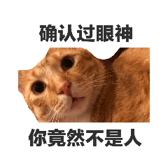 大七一籮筐