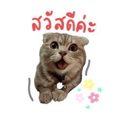 Chaba and friends
