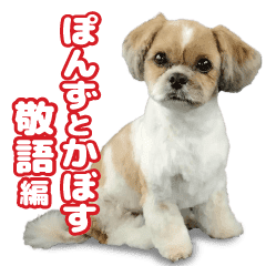 シーズー犬ぽんずとかぼす 敬語編 Line スタンプ Line Store