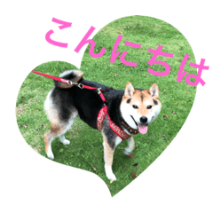 OKAPI_20190828125439