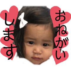 kiiaki_suta