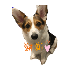 Ryu_20190828103310