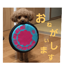 roko_20190828091035