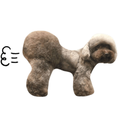 貓狗大家族