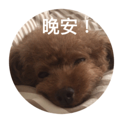 妞妞a生活！