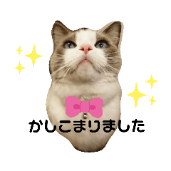Tommy_20190828203955
