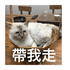 蘑菇小可愛第二彈