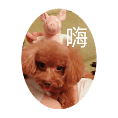 妞妞a生活2